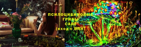 ПСИЛОЦИБИНОВЫЕ ГРИБЫ Алзамай