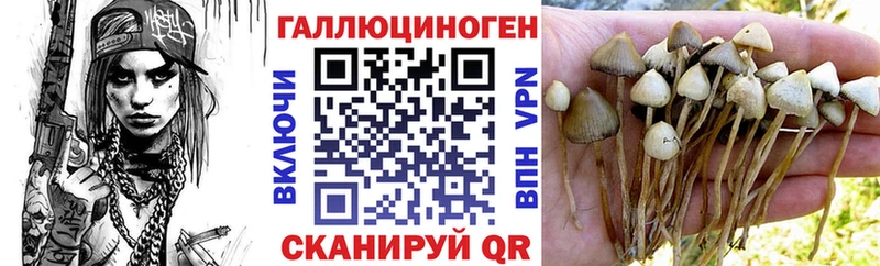 даркнет сайт  Брянск  Псилоцибиновые грибы GOLDEN TEACHER 